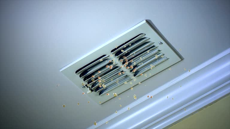 Best Air Duct Cleaning Company Near Me  in Social Circle, GA