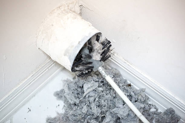 Best Affordable HVAC Duct Cleaning  in Social Circle, GA